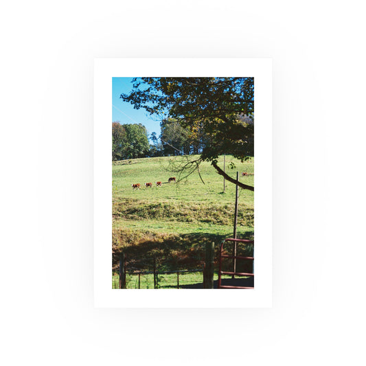 Taylor Farm, 2025 - Archival Matte Print