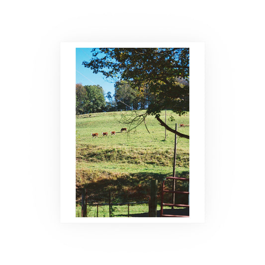 Taylor Farm, 2025 - Archival Matte Print
