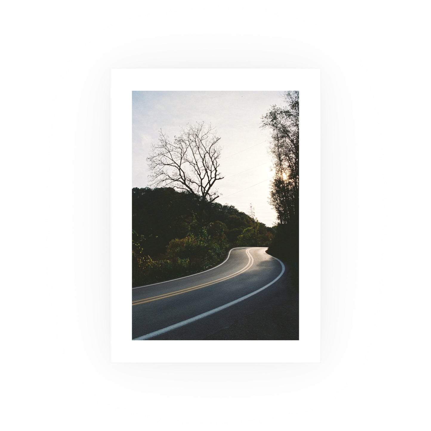 Country Roads, 2025 - Archival Matte Print